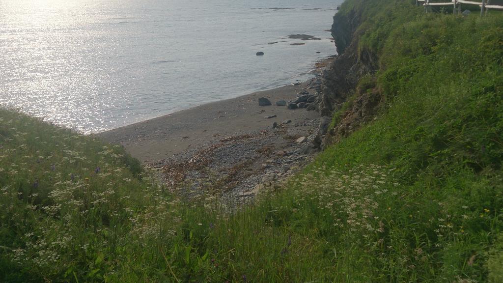 Les Cabines Sur Mer Cap-des-Rosiers Luaran gambar