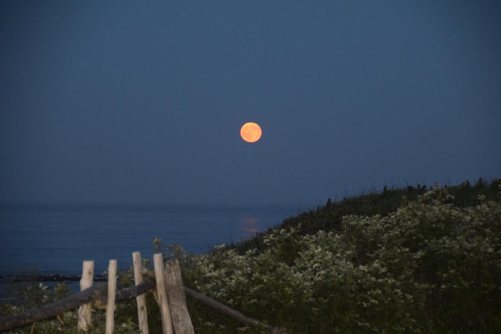 Les Cabines Sur Mer Cap-des-Rosiers Luaran gambar