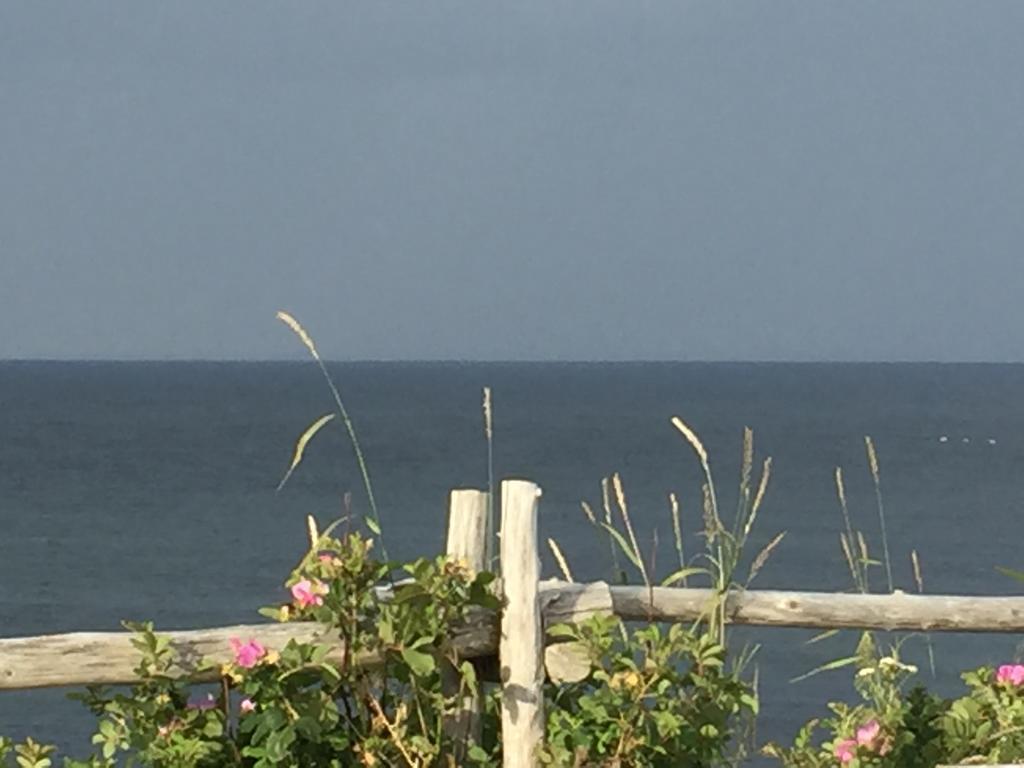 Les Cabines Sur Mer Cap-des-Rosiers Luaran gambar